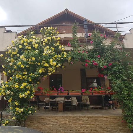 Casa Delia Ξενοδοχείο Călimăneşti Εξωτερικό φωτογραφία