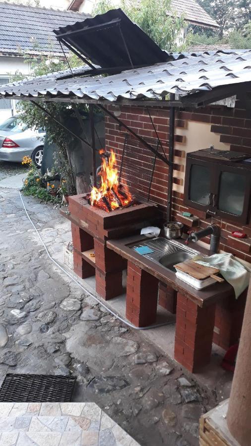 Casa Delia Ξενοδοχείο Călimăneşti Εξωτερικό φωτογραφία
