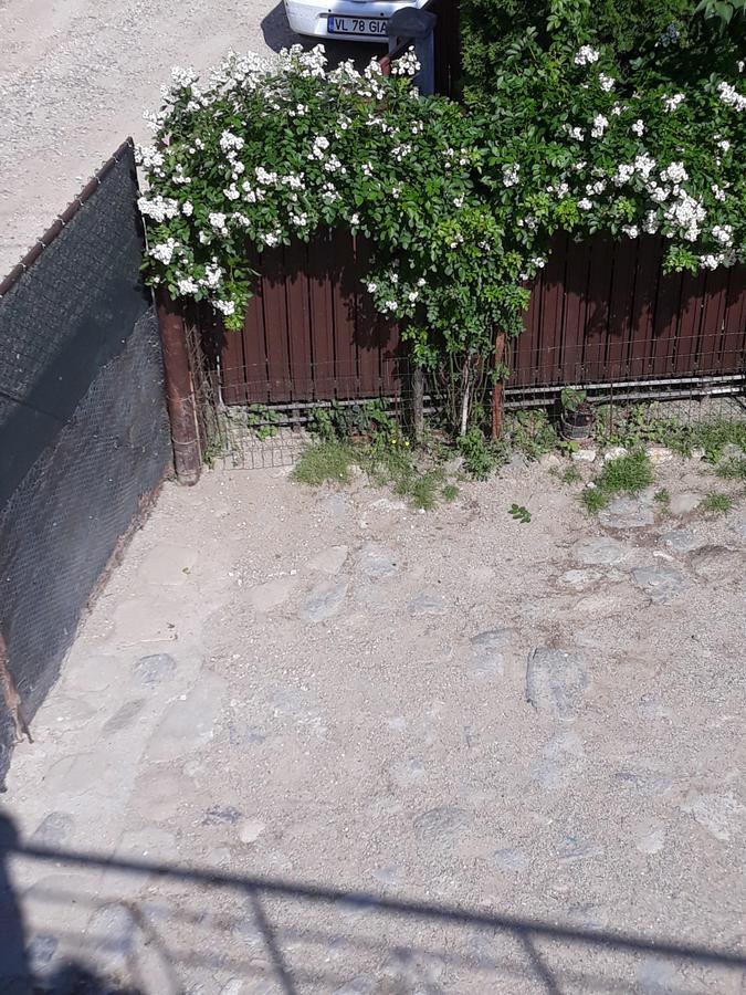 Casa Delia Ξενοδοχείο Călimăneşti Εξωτερικό φωτογραφία