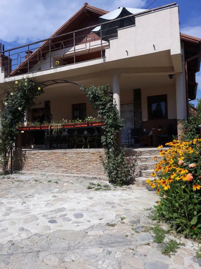Casa Delia Ξενοδοχείο Călimăneşti Εξωτερικό φωτογραφία